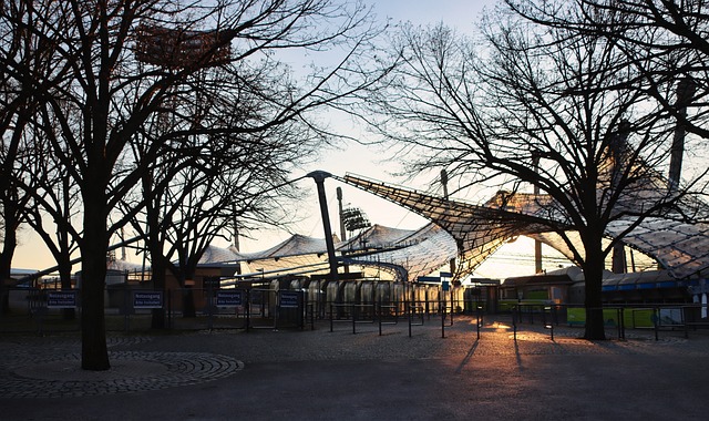 為年輕球員 為年輕球員