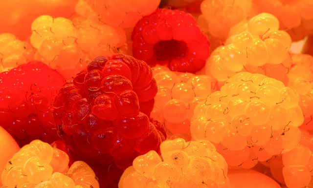 以帮助年轻 以帮助年轻