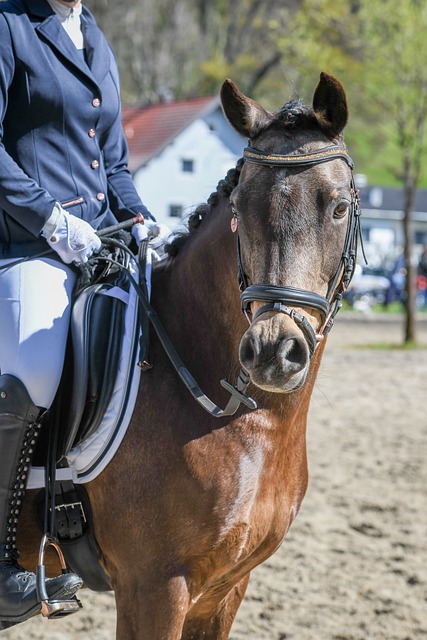 更在于它为 更在于它为