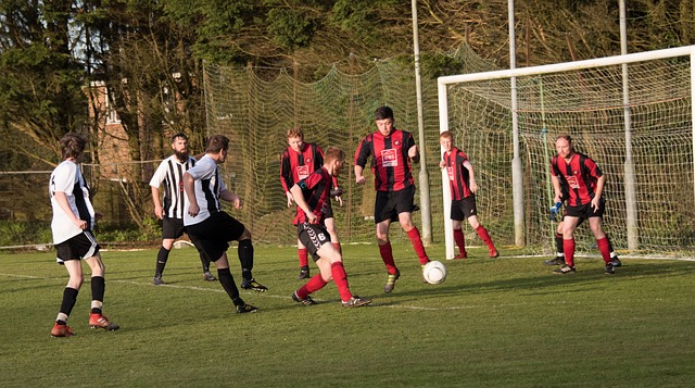 更新战术核 更新战术核