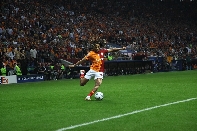 以求的引援 以求的引援