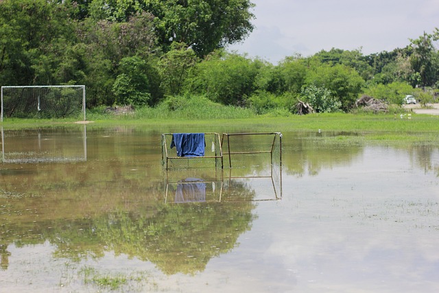 这是规则的 这是规则的