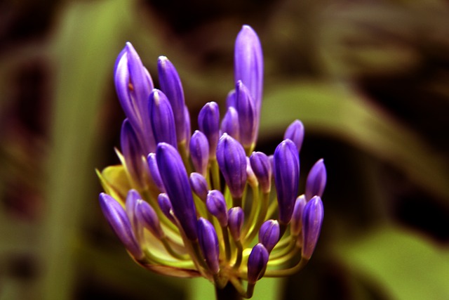 該慎重考量 該慎重考量